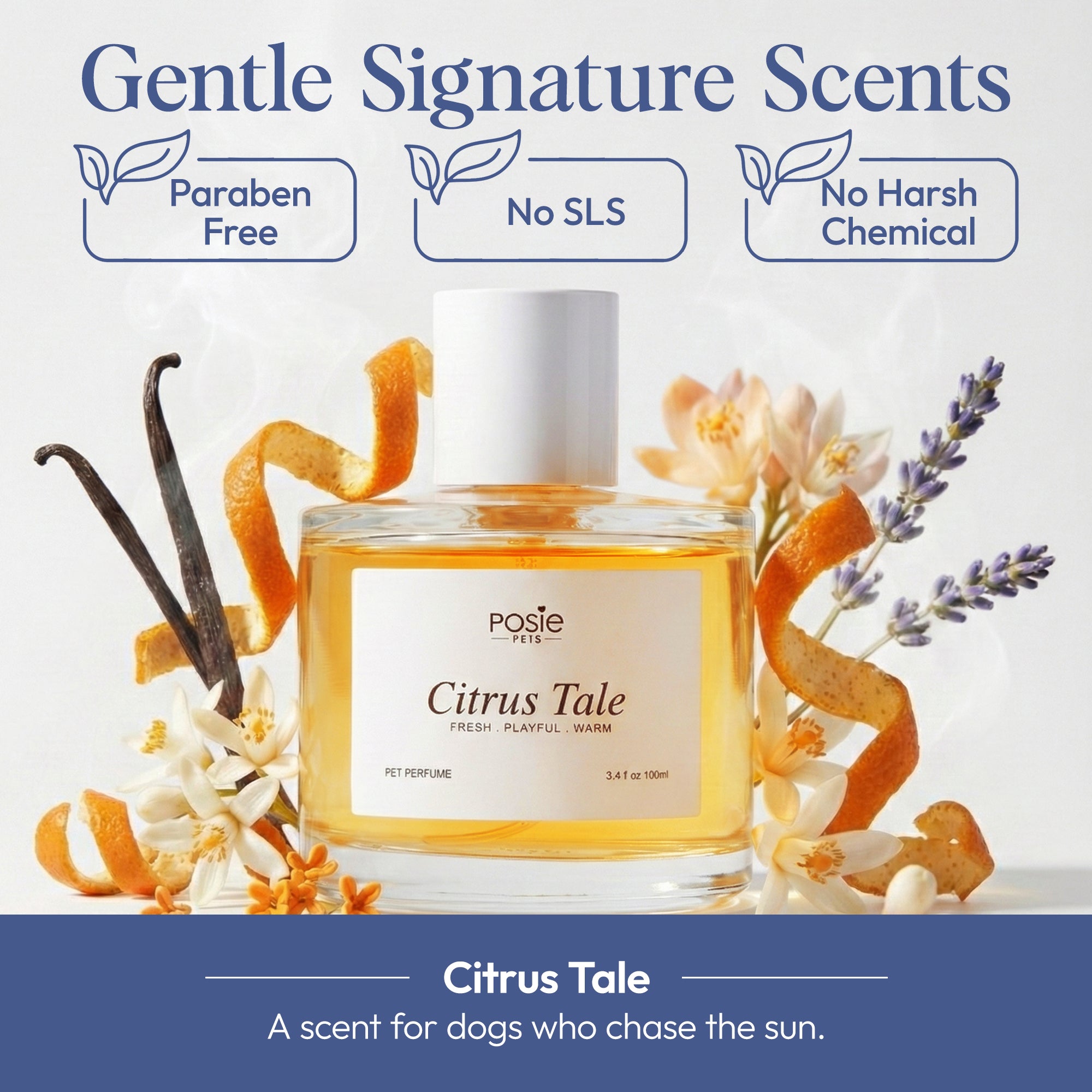 Citrus Tale - Pet Fragrance