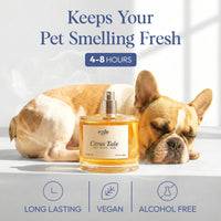 Citrus Tale - Pet Fragrance