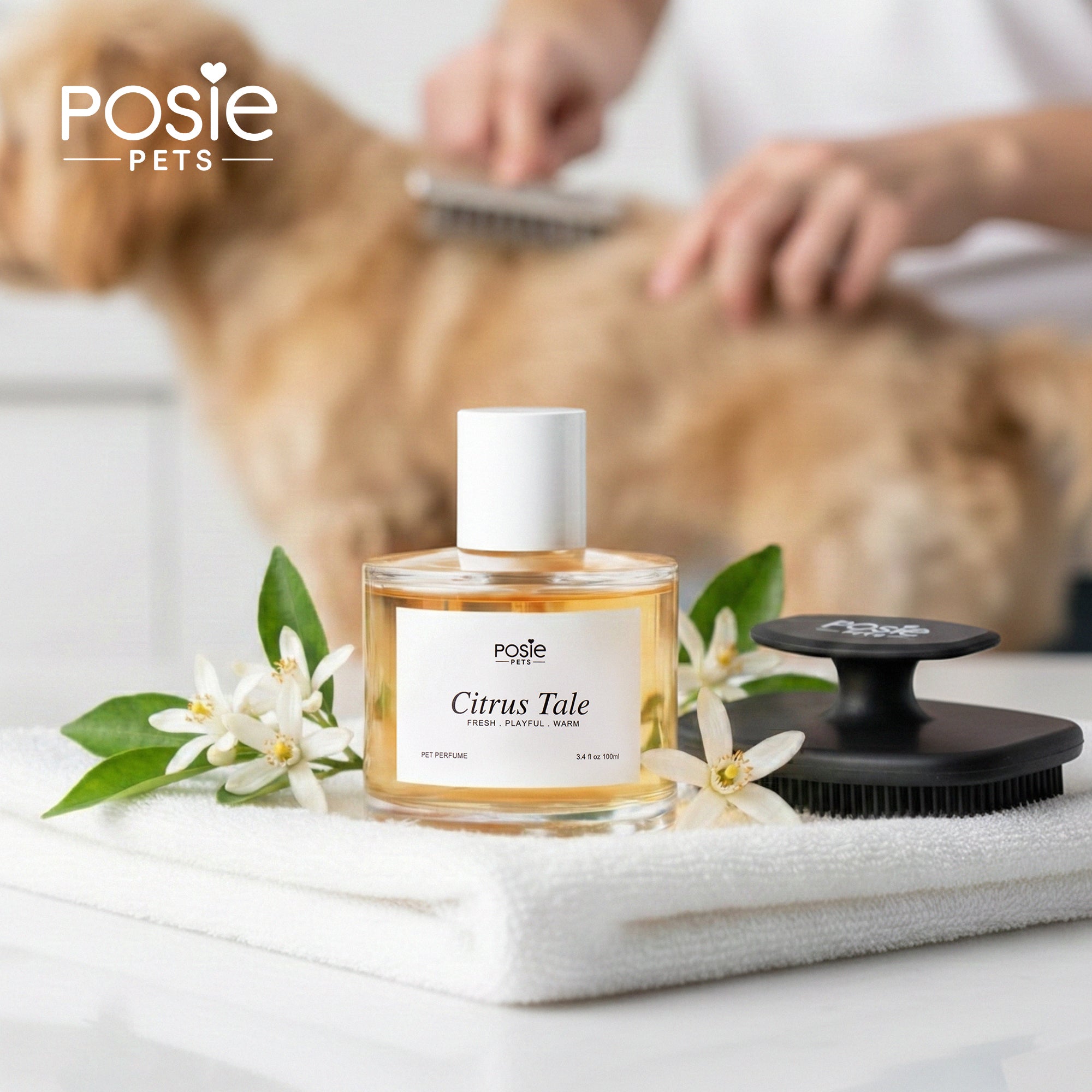 Citrus Tale - Pet Fragrance