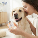 Sweet Snooze - Pet Fragrance