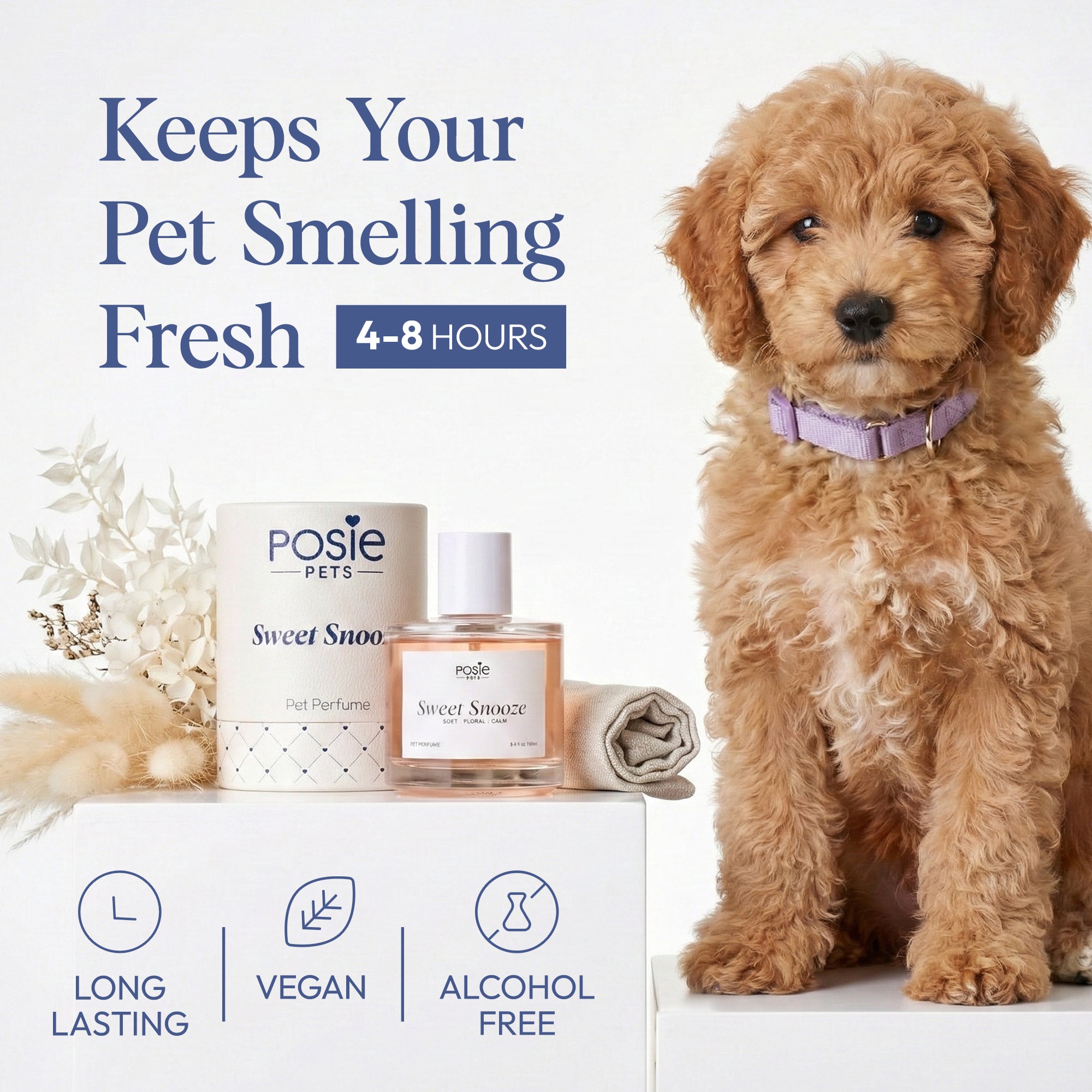 Sweet Snooze - Pet Fragrance