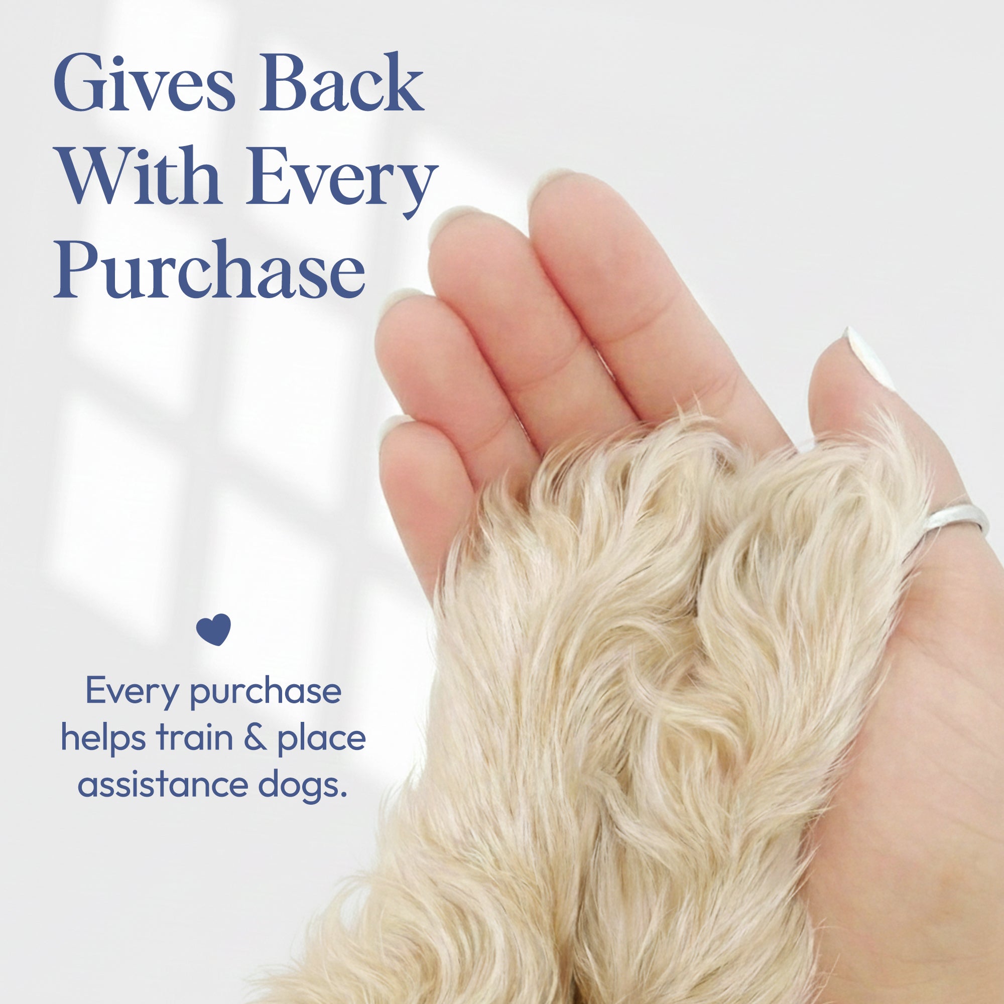 Sweet Snooze - Pet Fragrance