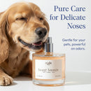 Sweet Snooze - Pet Fragrance
